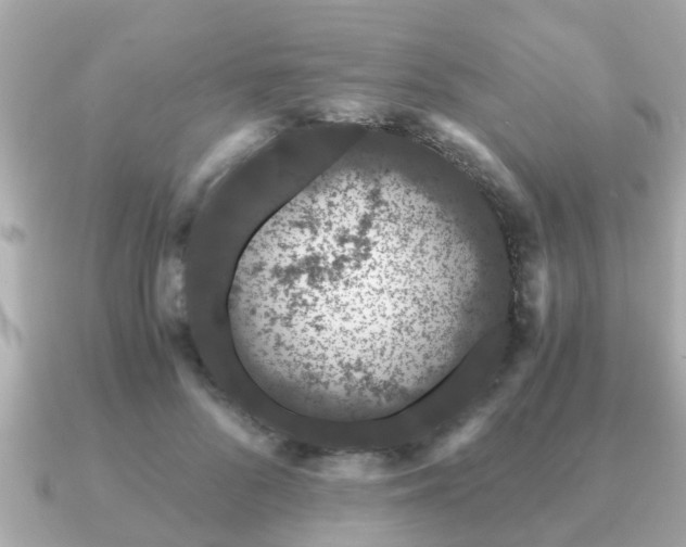 X0000091100696200708131106