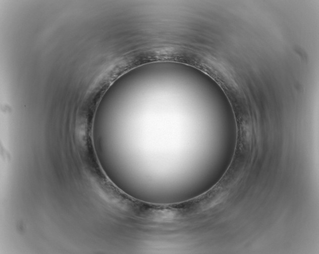 X0000091100698200708131106