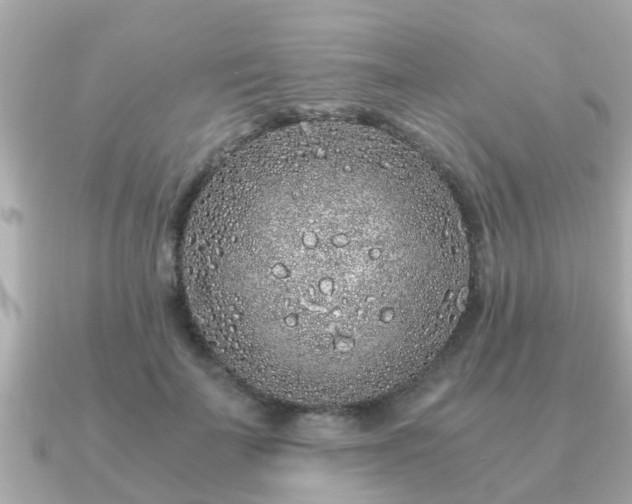 X0000091100699200708131106