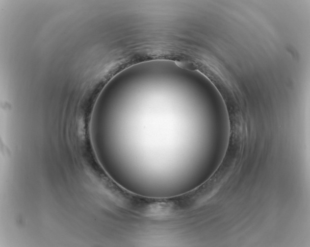 X0000091100700200708131106