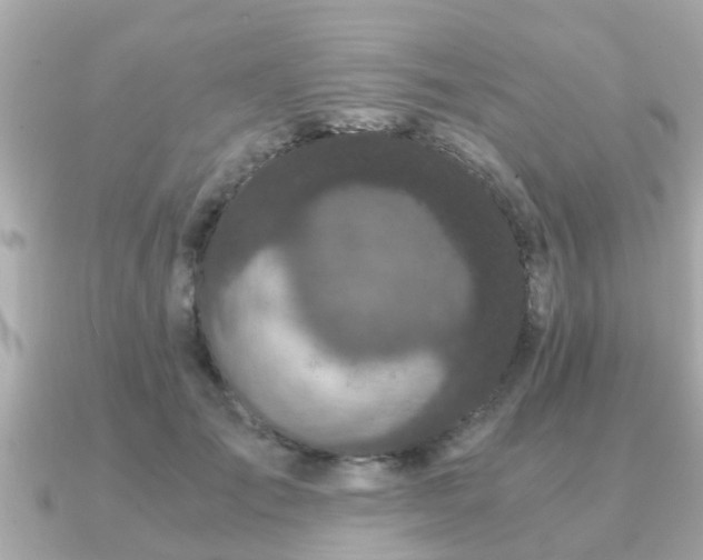 X0000091100701200708131106