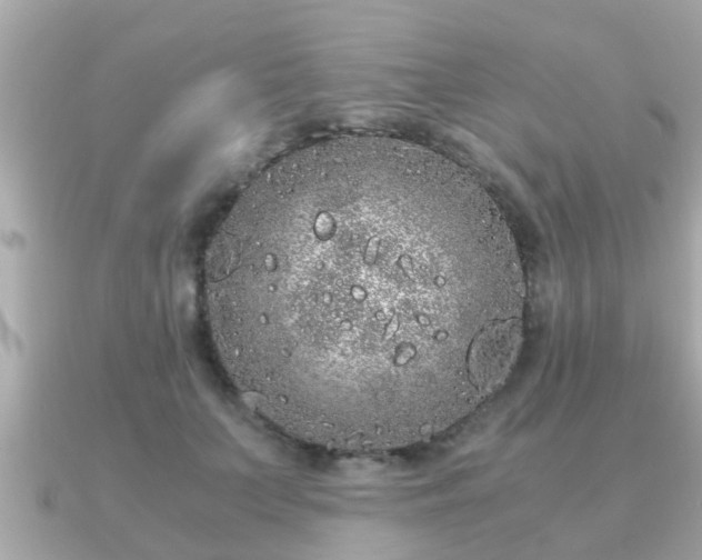 X0000091100703200708131106