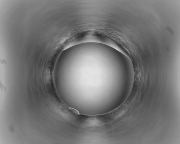 X0000091100704200708131106