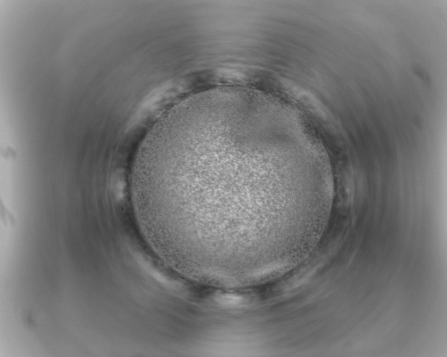 X0000091100706200708131106