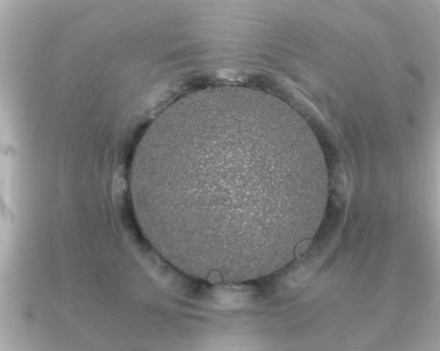 X0000091100707200708131106