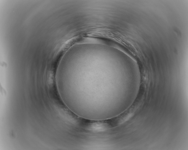 X0000091100708200708131106