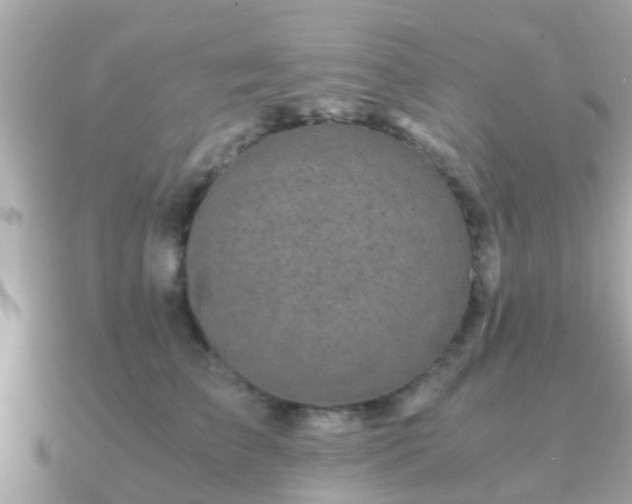 X0000091100709200708131106