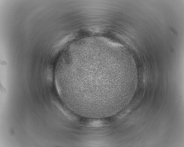 X0000091100710200708131106