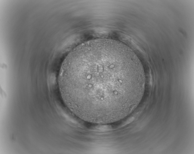 X0000091100711200708131106