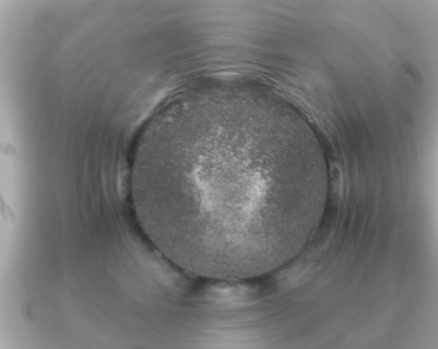 X0000091100712200708131106