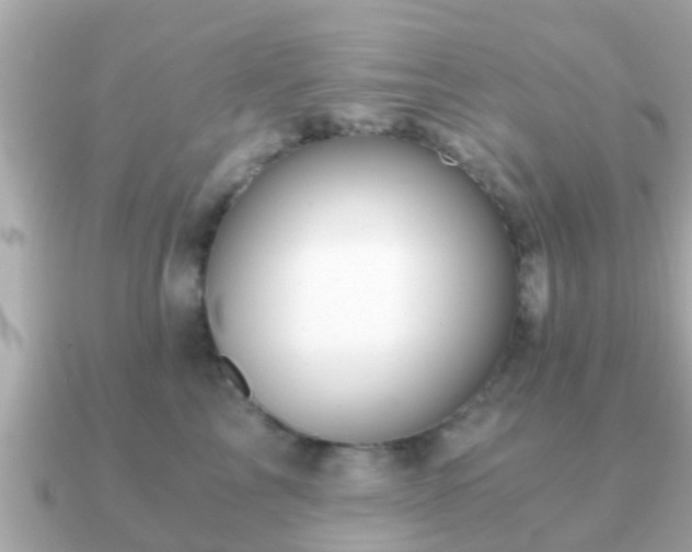 X0000091100713200708131106