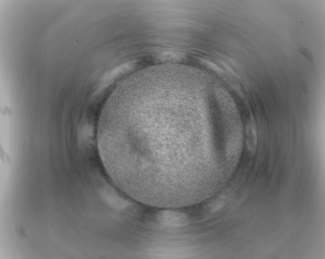 X0000091100714200708131106