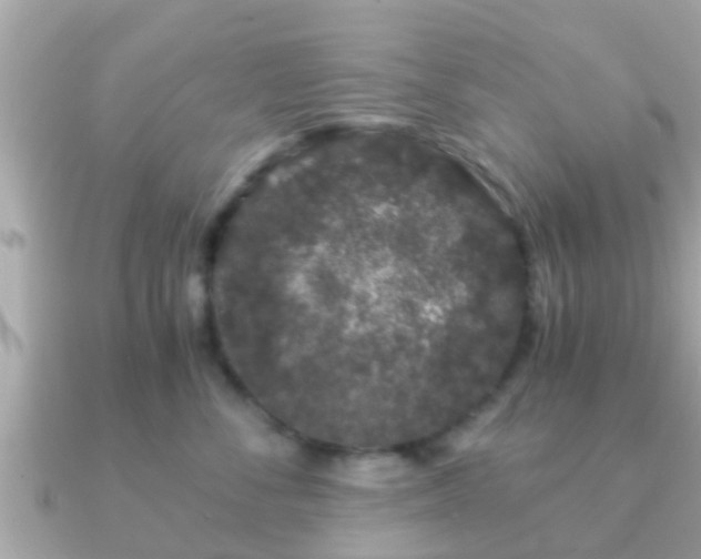 X0000091100716200708131106