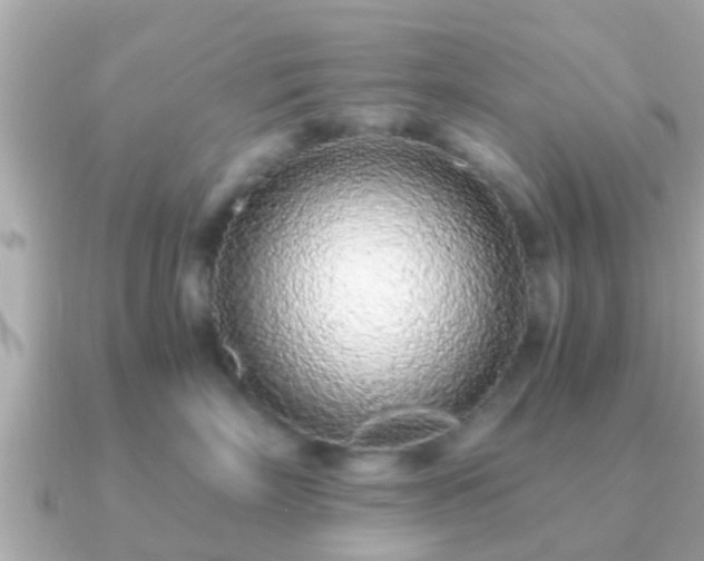 X0000091100718200708131106