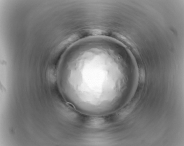 X0000091100719200708131106