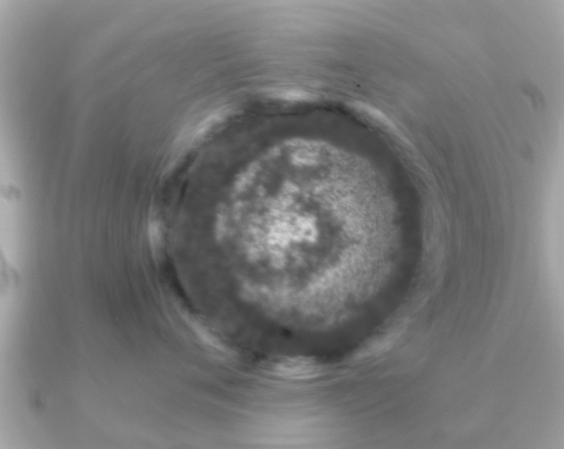 X0000091100720200708131106