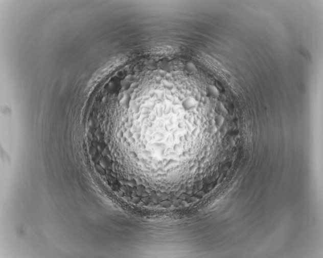 X0000091100721200708131105