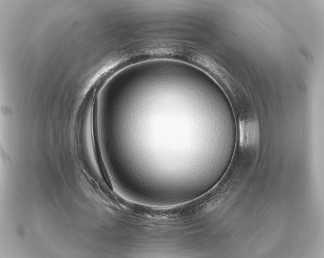 X0000091100723200708131105