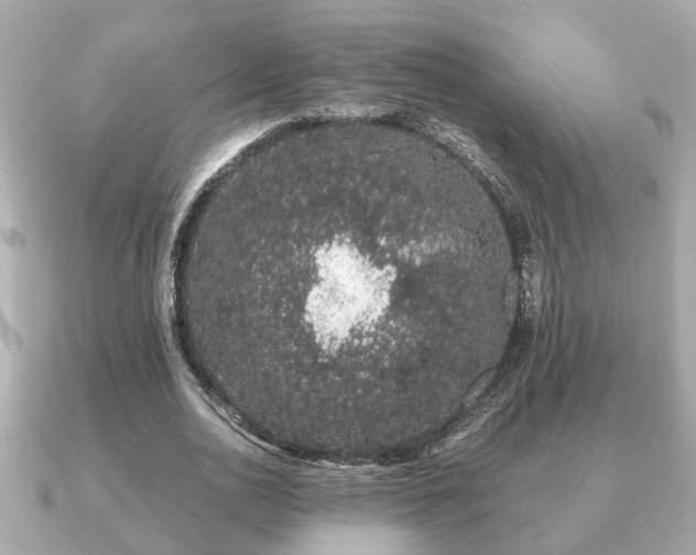 X0000091100726200708131105