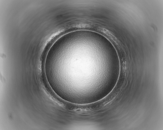 X0000091100727200708131105