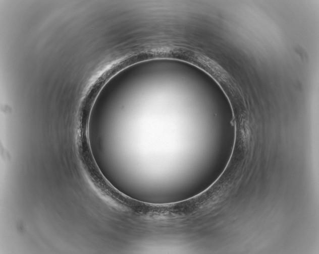 X0000091100728200708131105