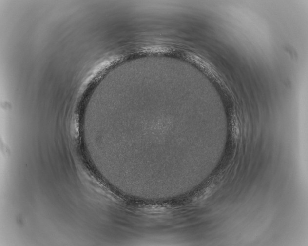 X0000091100731200708131105