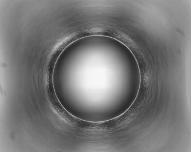 X0000091100732200708131105