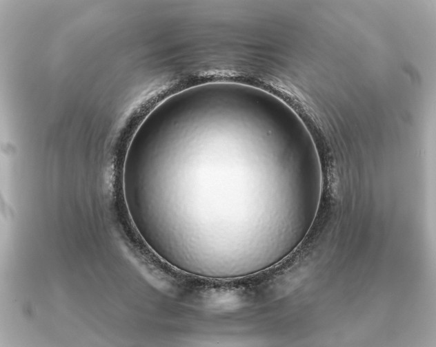 X0000091100735200708131106