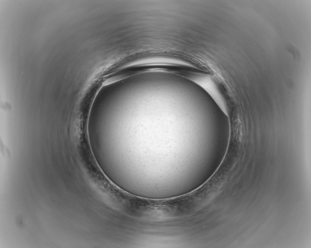 X0000091100736200708131106