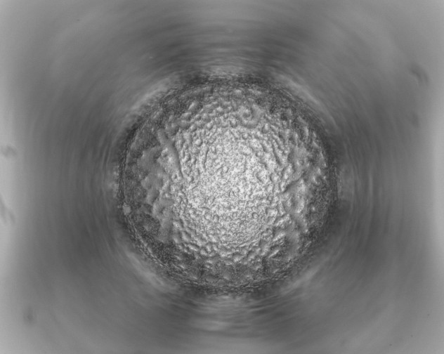 X0000091100737200708131106