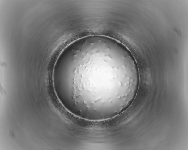 X0000091100738200708131106