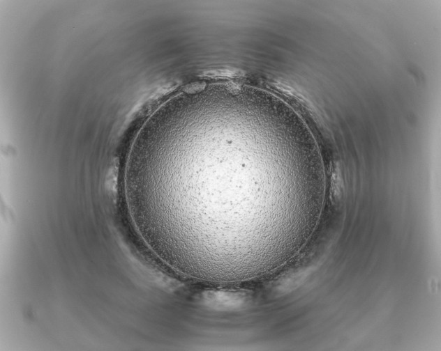 X0000091100739200708131106