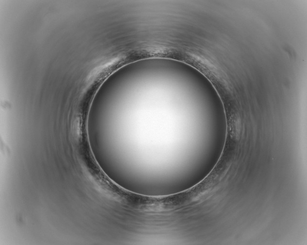 X0000091100740200708131106