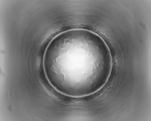 X0000091100742200708131106