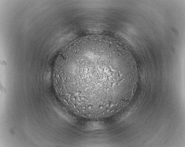 X0000091100745200708131106