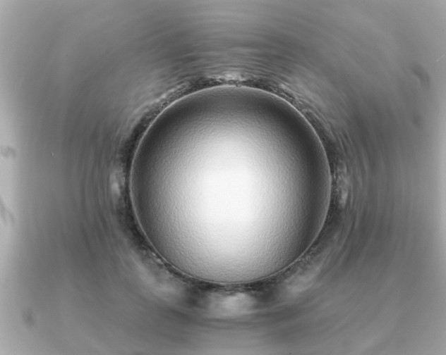 X0000091100747200708131106