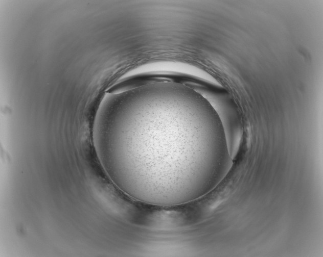 X0000091100748200708131106