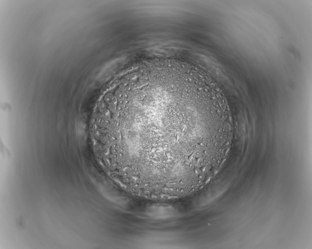 X0000091100749200708131106