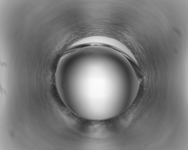 X0000091100750200708131106