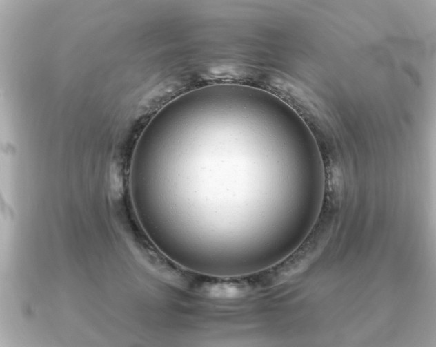 X0000091100751200708131106