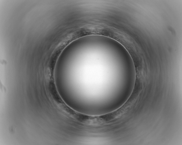 X0000091100752200708131106