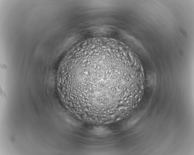 X0000091100753200708131106