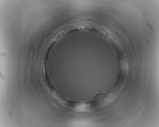 X0000091100754200708131106