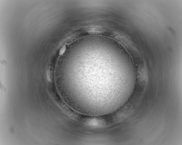 X0000091100755200708131106