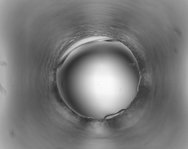 X0000091100756200708131106