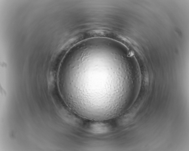 X0000091100759200708131106