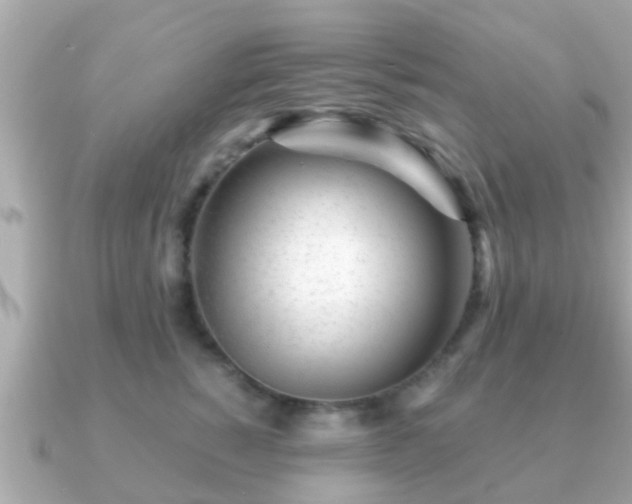 X0000091100760200708131106