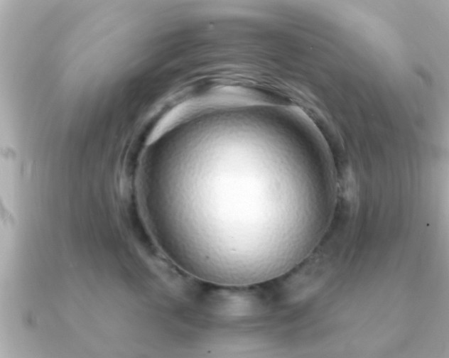 X0000091100763200708131106