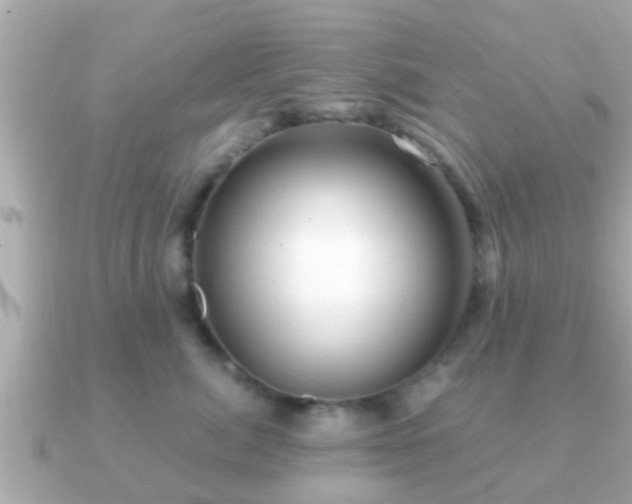 X0000091100764200708131106