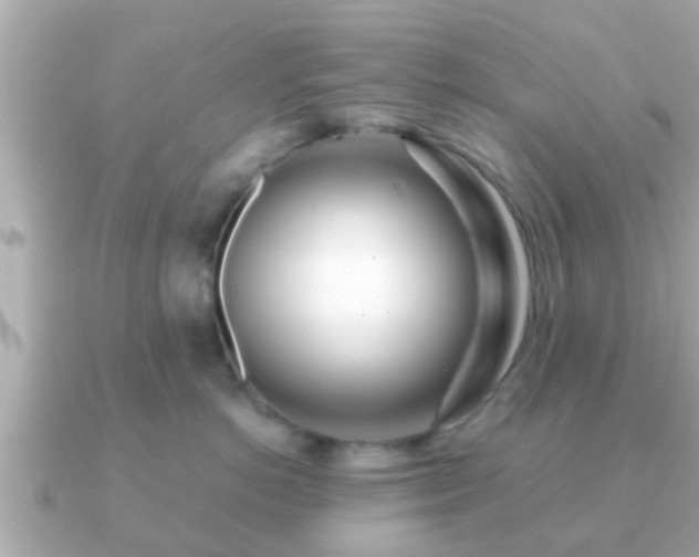 X0000091100766200708131106